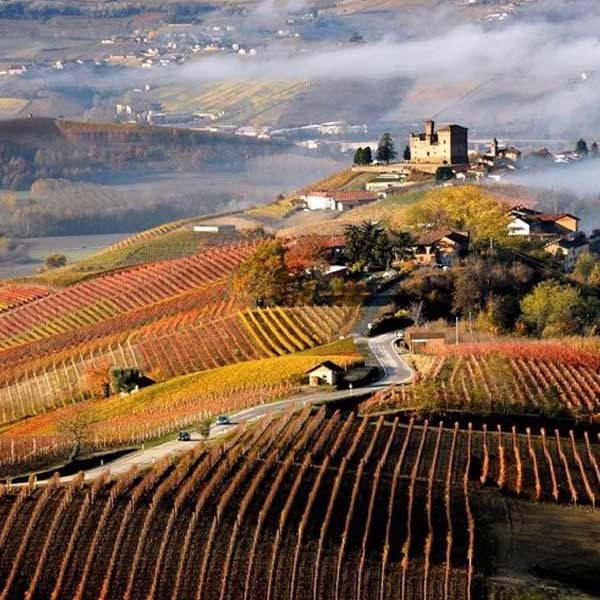 Wine Tour Experience - Francesco Pagani